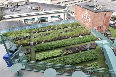Urban Farming a Fertile Bed for Crop of Local Stories | SEJ