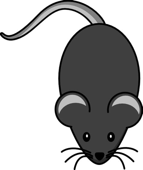 Grey Mouse Clipart 10 Free Cliparts Download Images On Clipground 2023