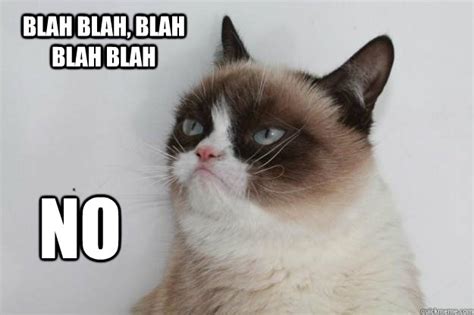 Become an eyewitness of live omg events. blah blah, blah blah blah no - Grumpy cat turns words in ...
