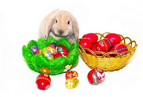 Easter Rabbit And Two Baskets With Easter Eggs Stock Photo Image Of