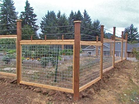 Galvanized Cattle Panel Fence With Rebar Top To Enclose A Garden And