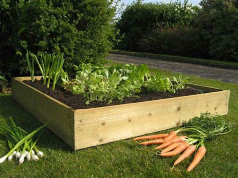 The raised vegetable garden plans above illustrate an ideal raised bed garden with equal groups and the best method of crop rotation. Raised Bed Images From Our Vegetable Garden