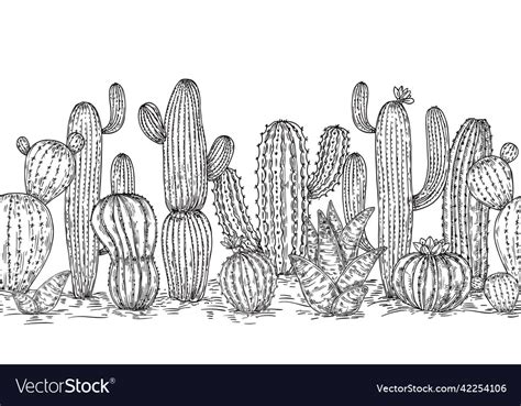 Sketch Cacti Collection Cactus Drawing Ink Vector Image