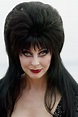 Cassandra Peterson's Life before and after Fame Following 'Elvira ...
