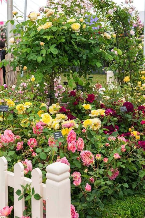 Lux Elegant Opulence — ╭ԑ̮̑ In 2020 Rose Garden Design Backyard