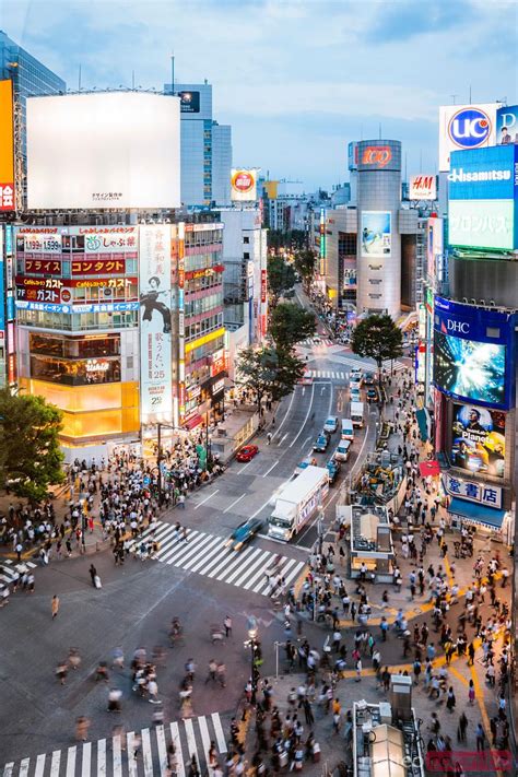 Elevated View Of Shibuya Zebra Crossing Tokyo Japan Royalty Free