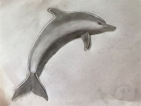 Https://tommynaija.com/draw/how To Draw A Realistic Dolphin