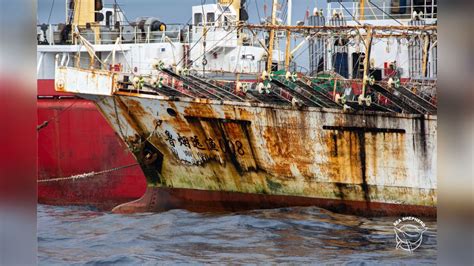 La Pesca Ilegal Y No Reportada En Alta Mar Revista Pesca And Medio Ambiente