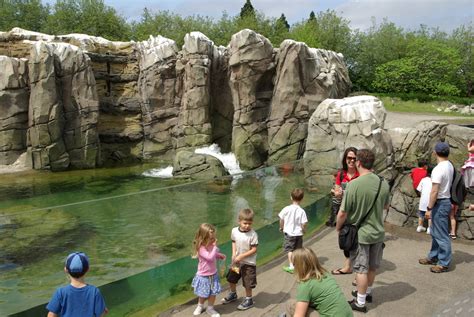 Woodland Park Zoo — Migsvr