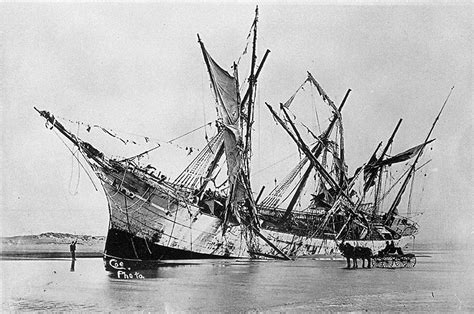 Check out our peter iredale ship selection for the very best in unique or custom, handmade pieces from our shops. Schemers sought to seize Peter Iredale shipwreck, sell for ...
