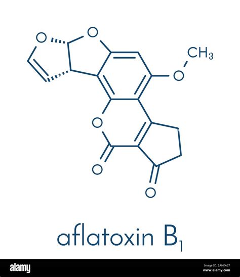 La Aflatoxina B1 Molde Molécula Cancerígena Fórmula Esquelética Imagen