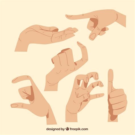 Vector Templates Hand Collection With Different Poses In Hand Drawn