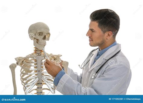 Male Orthopedist With Human Skeleton Model On Background Stock Image