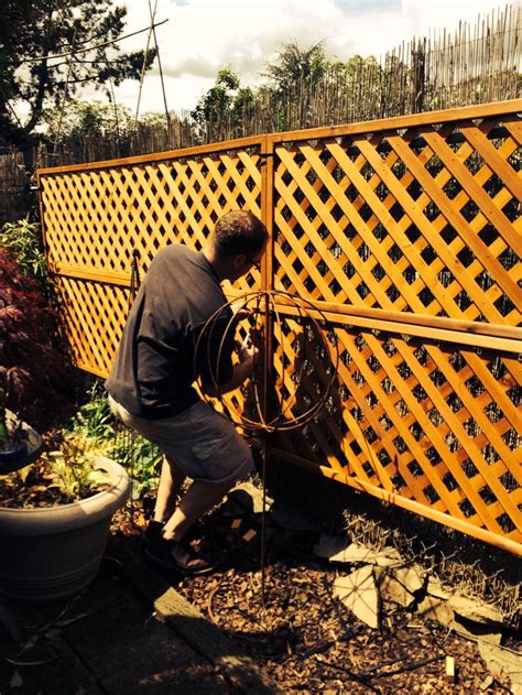 Want To Hide A Chain Link Fence Add Lattice Using Zip Ties So Easy