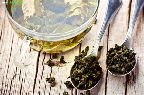 Naturmedizin für tier und mensch. Natürliche Hautpflege: Lebensmittel für schöne und gesunde ...