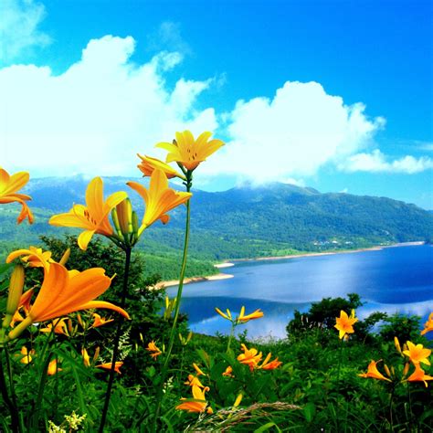Beautiful Nature Wallpapers Hd Wallpapers Hd Backgroundstumblr