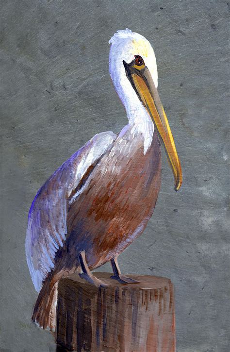 Brown Pelican Painting By Elaine Hodges Fine Art America