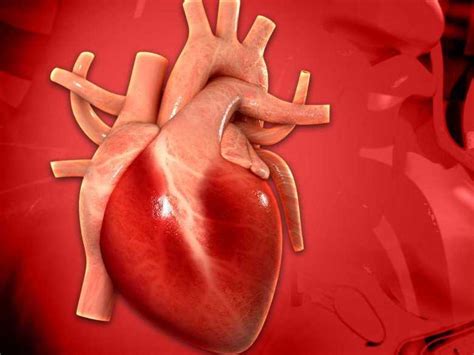 Choroba wieńcowa choroba niedokrwienna serca objawy diagnoza