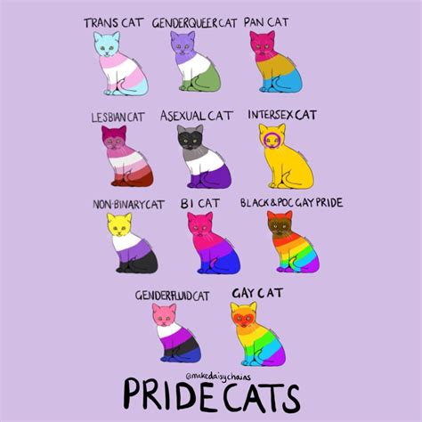 Explore non binary (r/nonbinary) community on pholder | see more posts from r/nonbinary community like nb parent reporting in!!. Pansexual Pride Flag Wallpapers - Wallpaper Cave