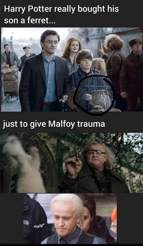 The Best Harry Potter Memes Of The Week April 4 2023 Harry Potter