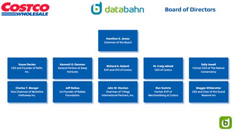 Costco Org Chart In 2023 Databahn