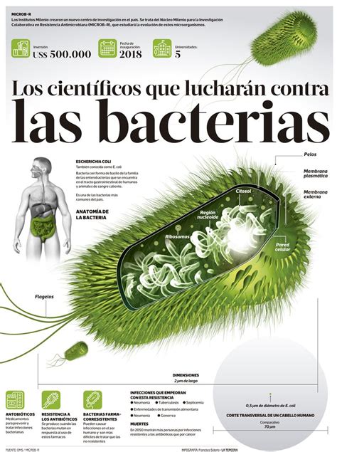 Los Cient Ficos Que Luchar N Contra Las Bacterias La Tercera My Xxx