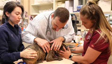 Mars Petcare Biobank - BluePearl Pet Hospital