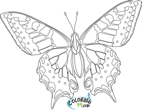 Butterfly Coloring Pages | Minister Coloring