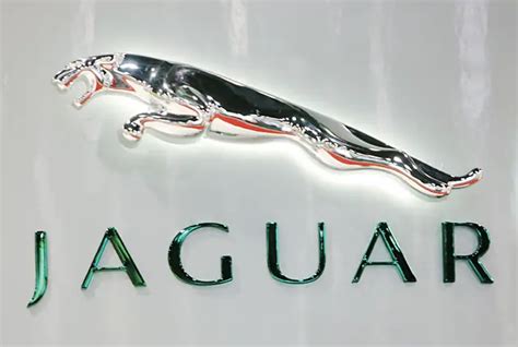 Jaguar Logo Hd Png Meaning Information