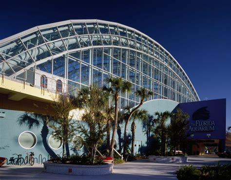 Your Complete Guide To Florida Aquarium Touristsecrets