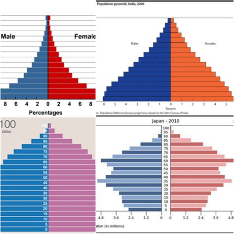 Stage 2 Population Pyramid
