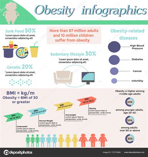 Obesity Infographic Design Vector Template ⬇ Vector Image By