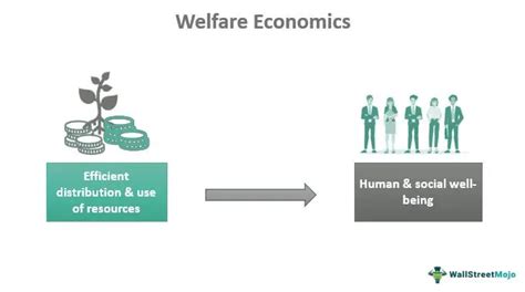 Welfare Economics Definition Study Theory Examples