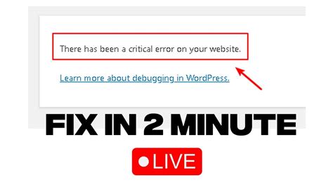 How To Fix There Has Been A Critical Error On This Website Critical Error In Wordpress Youtube