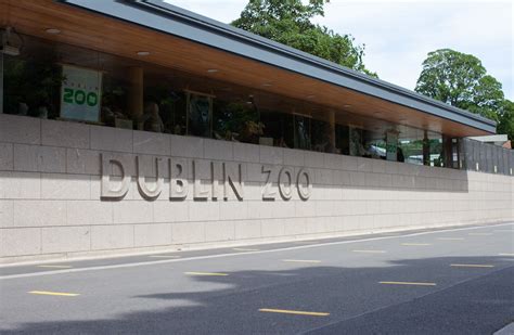 Dublin Zoo To Reopen To Public Tomorrow With Reduced Capacity And New