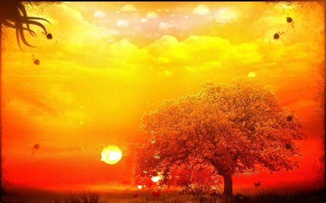 Yellow Sky Wallpapers Top Free Yellow Sky Backgrounds Wallpaperaccess