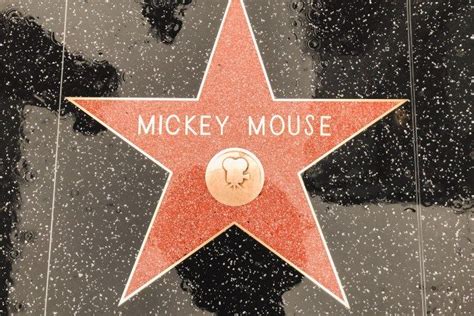 Finding Disney Hollywood Walk Of Fame Stars The Healthy Mouse Walk