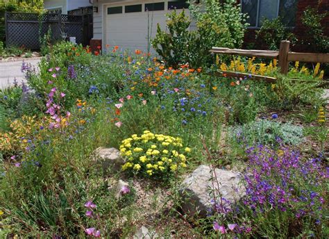 Advice For A New Native Gardener California Native Plant Society In