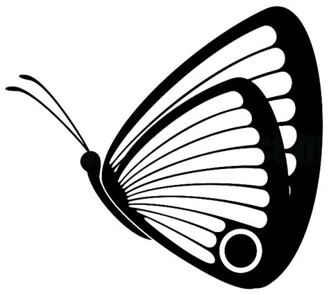 Best Butterfly Coloring Pages Minister Coloring