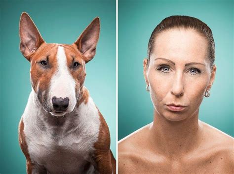 27 Funny Photos Of Dogs Who Look Just Like Their Owners Dog People