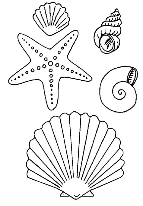 What kind of starfish is a smiling starfish? Seashell coloring pages to download and print for free