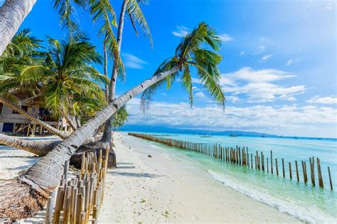 Tropical White Sand Beach In Boracay Philippines Stock Image Image