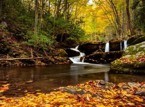 Why Should You Spend Fall In The Great Smoky Mountains