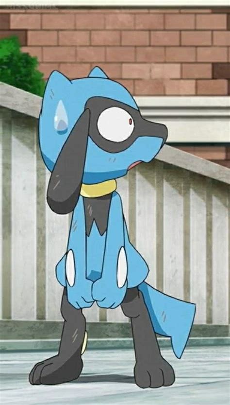 Riolu Screenshot Pokemon Screencaps Pokemon Riolu Pokemon Journeys