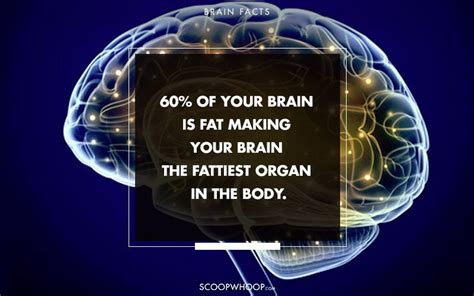 37 Fascinating Facts About The Human Brain That You Probably Had No