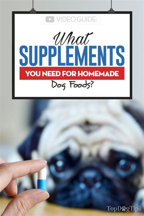 What Supplements You Need For Homemade Dog Foods Dog Food Recipes