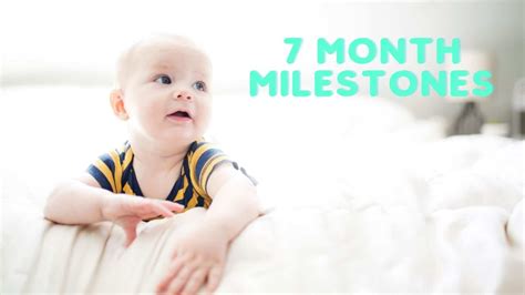 7 Month Milestones What Are The Developmental Milestones Of My 7 Month