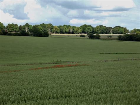 A Line Of Poppies In Salisbury Plains Wiltshire England Flickr
