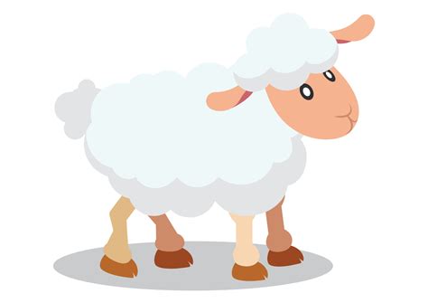Flat Vector Design Of Cute Sheep Cartoon Sheep Isolated On White