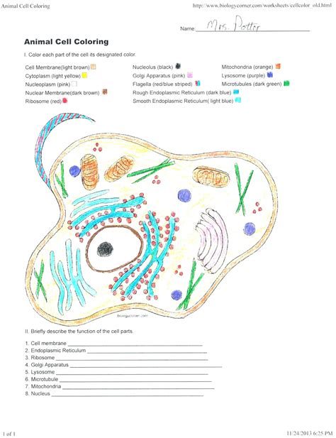 Key color the animal cell drawn below. Plant Cell Coloring Key New Cell Coloring Pages ...